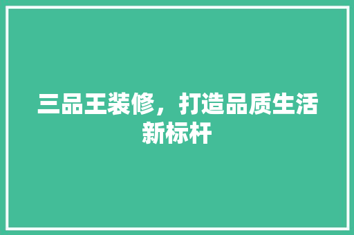 三品王装修，打造品质生活新标杆 中式风格装饰