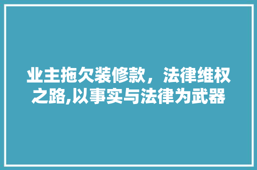 业主拖欠装修款，法律维权之路,以事实与法律为武器，捍卫自己的权益 现代风格装饰
