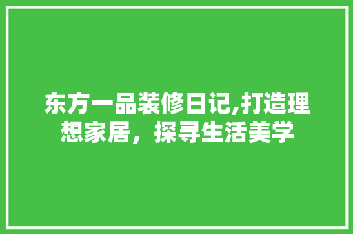 东方一品装修日记,打造理想家居，探寻生活美学 木雕艺术
