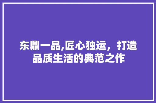 东鼎一品,匠心独运，打造品质生活的典范之作 软装设计