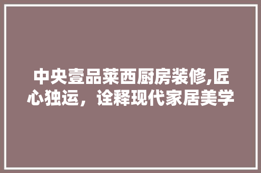中央壹品莱西厨房装修,匠心独运，诠释现代家居美学