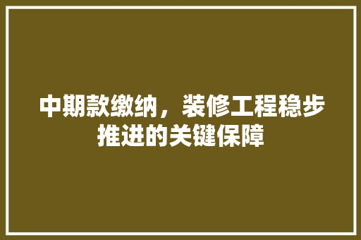 中期款缴纳，装修工程稳步推进的关键保障 现代风格装饰