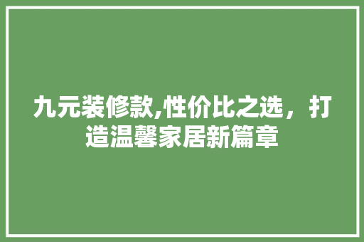 九元装修款,性价比之选，打造温馨家居新篇章 家居装修