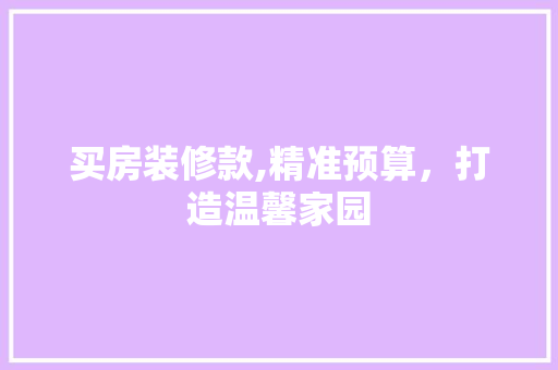 买房装修款,精准预算，打造温馨家园 室内设计