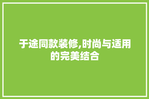 于途同款装修,时尚与适用的完美结合 室内设计