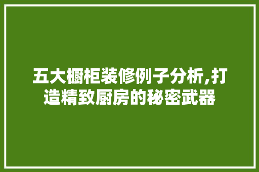 五大橱柜装修例子分析,打造精致厨房的秘密武器 软装设计