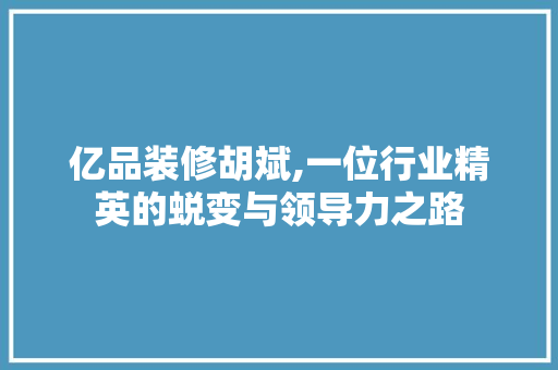 亿品装修胡斌,一位行业精英的蜕变与领导力之路 室内设计