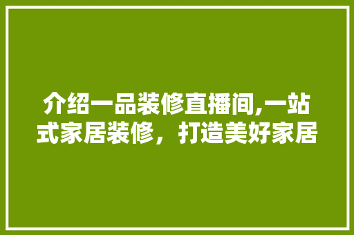 介绍一品装修直播间,一站式家居装修，打造美好家居生活 木雕艺术