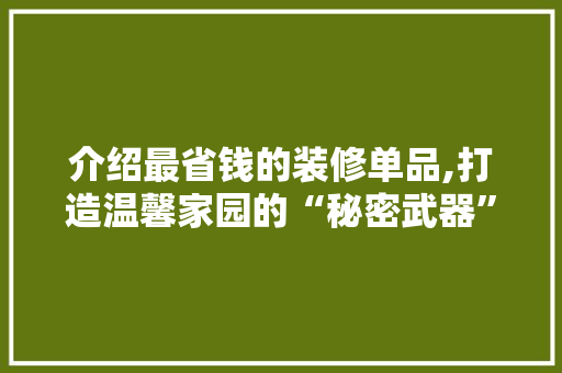 介绍最省钱的装修单品,打造温馨家园的“秘密武器” 卧室装修