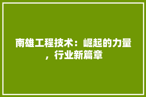 南雄工程技术：崛起的力量，行业新篇章 家居装修