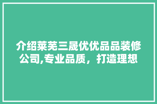 介绍莱芜三晟优优品品装修公司,专业品质，打造理想家居