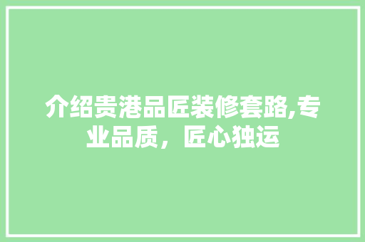 介绍贵港品匠装修套路,专业品质，匠心独运