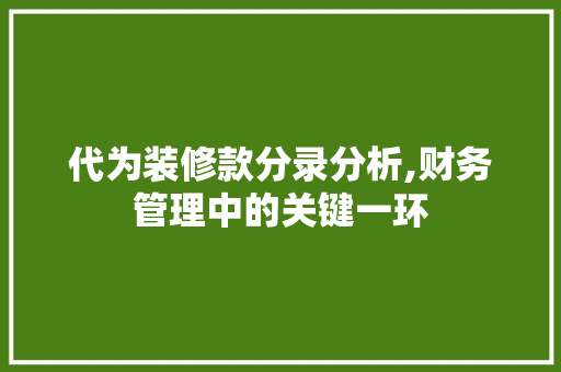 代为装修款分录分析,财务管理中的关键一环 中式风格装饰