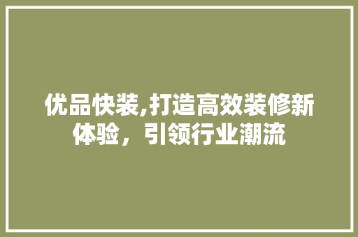 优品快装,打造高效装修新体验，引领行业潮流 室内设计