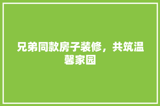 兄弟同款房子装修，共筑温馨家园 中式风格装饰