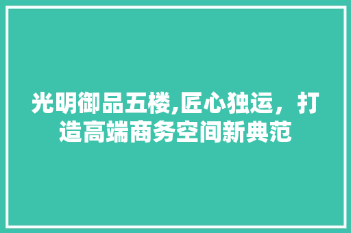 光明御品五楼,匠心独运，打造高端商务空间新典范 木雕艺术