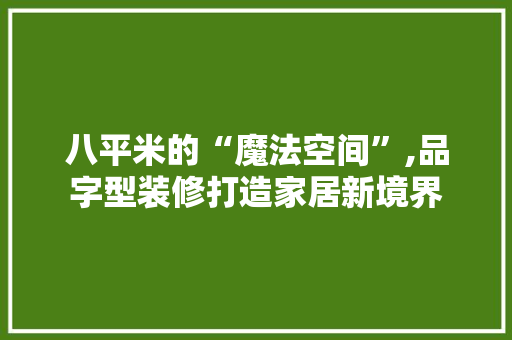 八平米的“魔法空间”,品字型装修打造家居新境界 地板材料