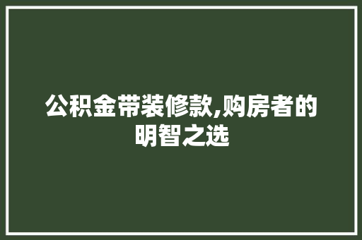 公积金带装修款,购房者的明智之选 现代风格装饰