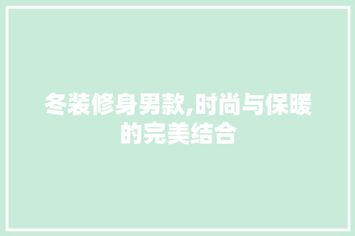冬装修身男款,时尚与保暖的完美结合 软装设计
