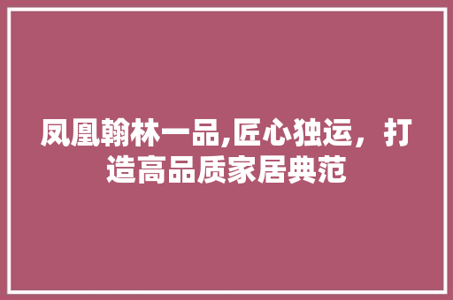 凤凰翰林一品,匠心独运，打造高品质家居典范 现代风格装饰