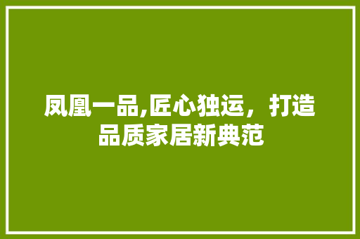凤凰一品,匠心独运，打造品质家居新典范 家居装修