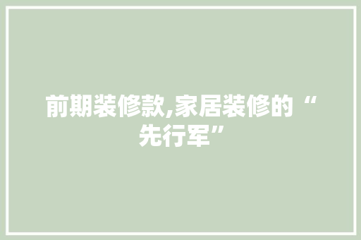 前期装修款,家居装修的“先行军” 软装设计