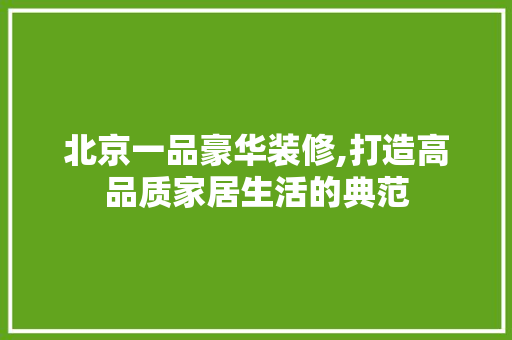北京一品豪华装修,打造高品质家居生活的典范 软装设计
