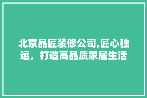 北京品匠装修公司,匠心独运，打造高品质家居生活 客厅装修