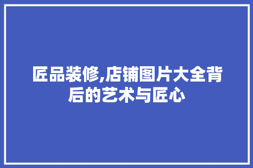 匠品装修,店铺图片大全背后的艺术与匠心 软装设计