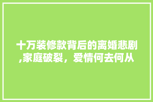 十万装修款背后的离婚悲剧,家庭破裂，爱情何去何从 室内设计