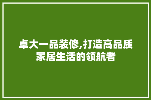 卓大一品装修,打造高品质家居生活的领航者 室内设计