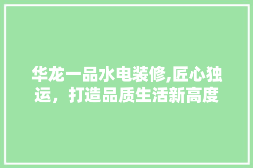 华龙一品水电装修,匠心独运，打造品质生活新高度 室内设计