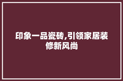 印象一品瓷砖,引领家居装修新风尚 软装设计