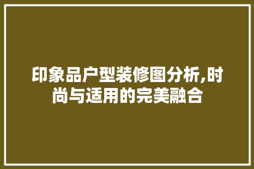印象品户型装修图分析,时尚与适用的完美融合 家居装修