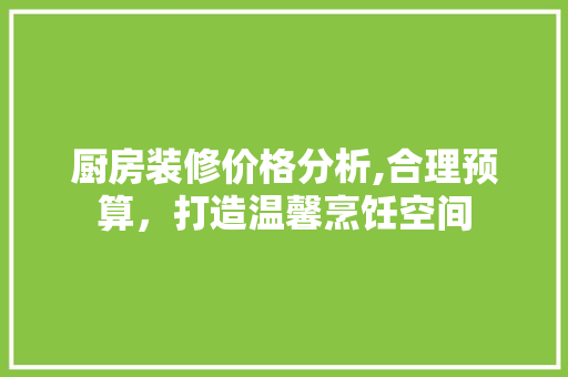厨房装修价格分析,合理预算，打造温馨烹饪空间 地板材料
