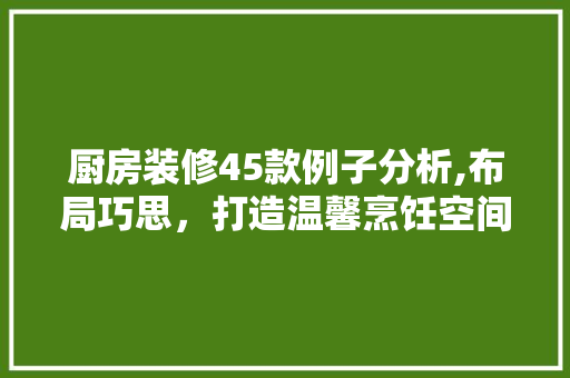 厨房装修45款例子分析,布局巧思，打造温馨烹饪空间 家居装修