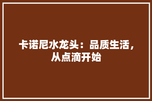 卡诺尼水龙头：品质生活，从点滴开始 家居装修
