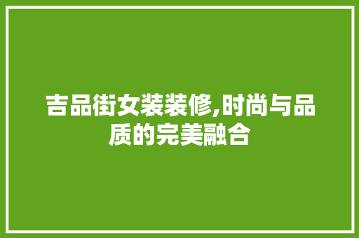 吉品街女装装修,时尚与品质的完美融合 软装设计