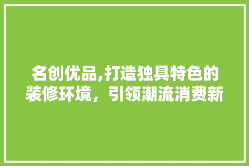名创优品,打造独具特色的装修环境，引领潮流消费新风尚 室内设计