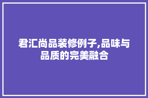 君汇尚品装修例子,品味与品质的完美融合 室内设计