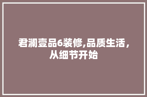 君澜壹品6装修,品质生活，从细节开始 客厅装修