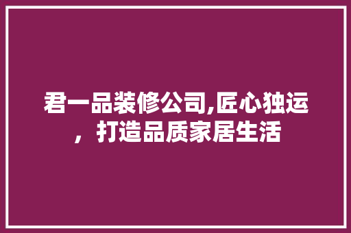 君一品装修公司,匠心独运，打造品质家居生活 现代风格装饰