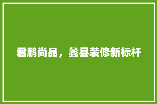 君鹏尚品，蠡县装修新标杆 现代风格装饰