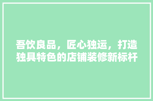 吾饮良品，匠心独运，打造独具特色的店铺装修新标杆 家居装修
