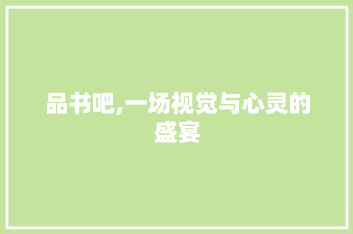 品书吧,一场视觉与心灵的盛宴