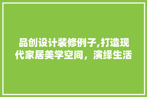 品创设计装修例子,打造现代家居美学空间，演绎生活艺术之美 现代风格装饰