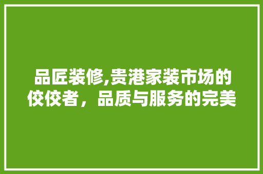 品匠装修,贵港家装市场的佼佼者，品质与服务的完美融合 室内设计