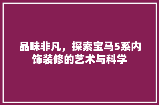 品味非凡，探索宝马5系内饰装修的艺术与科学 木雕艺术