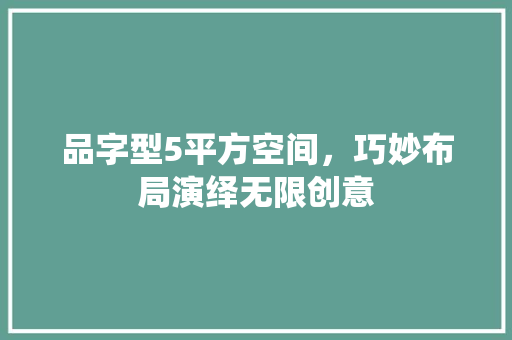 品字型5平方空间，巧妙布局演绎无限创意 客厅装修