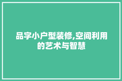 品字小户型装修,空间利用的艺术与智慧 家居装修